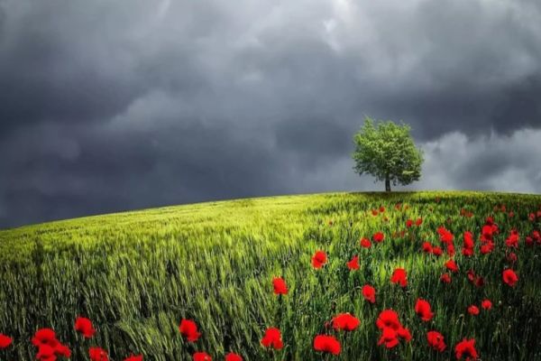 Prognoza meteo 6 iunie. Vremea extremelor: vijelii cu grindină și temperaturi de 31 de grade