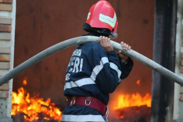 Incendiu la un adăpost de animale, stins de pompieri