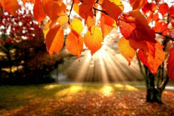 Octombrie, mai caldă și mai secetoasă ca de obicei. Prognoza pe o lună