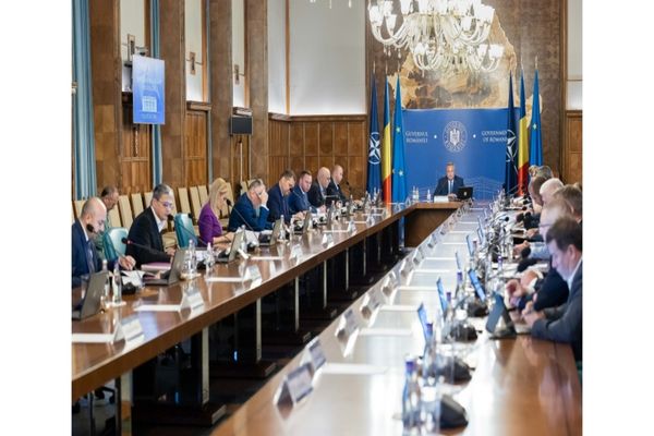 Ședință de Guvern | Ordonanța care plafonează prețul lemnelor de foc pentru populaţie, la votul miniștrilor