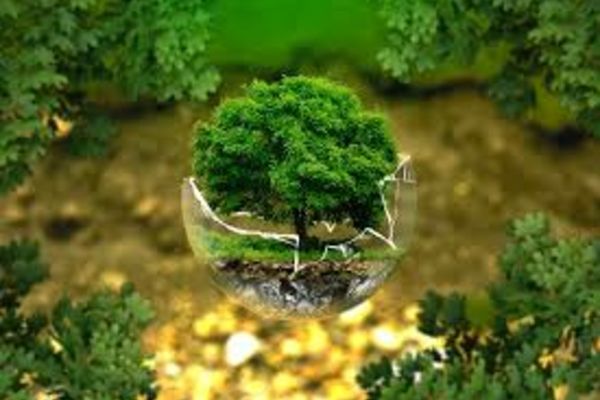 Noi dosare aprobate în cadrul Programelor Casa Verde Fotovoltaice, Rabla Clasic, Rabla Plus și Iluminat Public