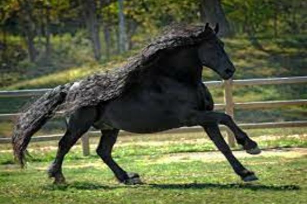 Ce se întâmplă, de fapt, cu părul tău dacă te speli cu șampon pentru CAL