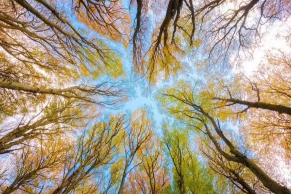 Caniculă de toamnă - temperaturi anormal de ridicate, în noiembrie: 27 de grade! Când revin ploile