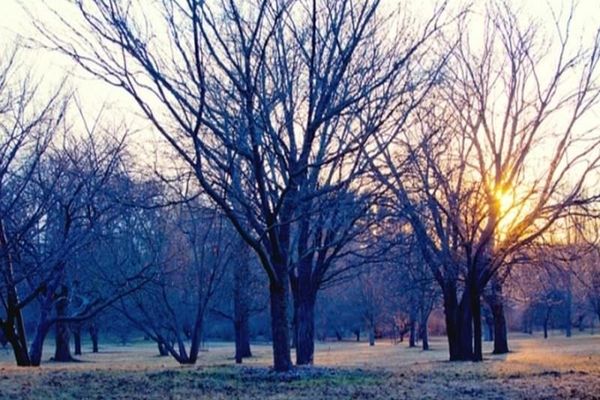 Când vin ninsorile în România! Meteorologii ANM au anunțat ce fel de iarnă vom avea! Prognoza COMPLETA