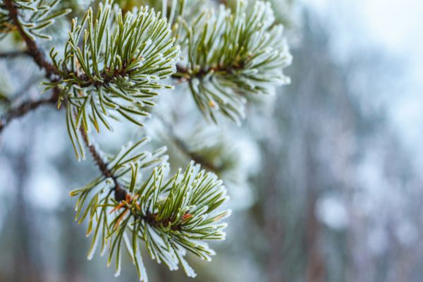 Astăzi temperaturile maxime se vor încadra între 2 şi 13 grade