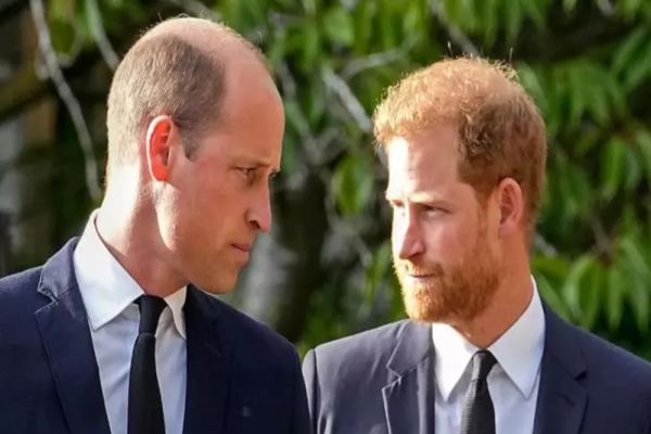 Prinţul Harry susţine că a fost bătut de fratele său William, în 2019: "A dat cu mine de pământ"