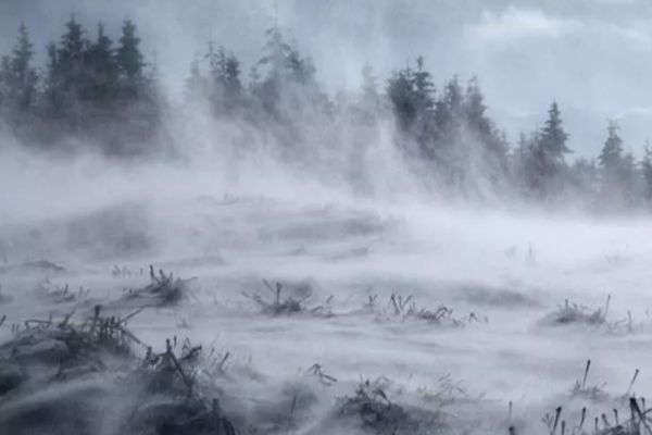 Vremea 6 ianuarie - Cod galben de viscol, vânt puternic în mai multe zone din țară - Scad temperaturile