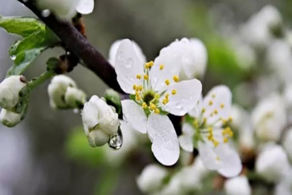 Prognoza meteo pe o lună: temperaturi anormale, aer tropical. Cum va fi vremea până pe 13 februarie