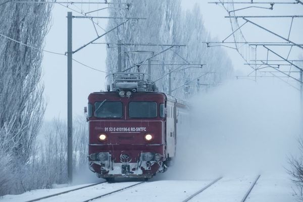 Copacii doborâţi de vânt au blocat trenurile în gări
