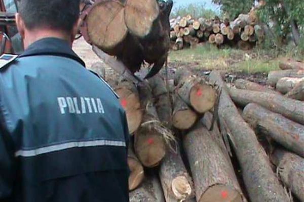 Peste 200 metri cubi material lemnos și un vehicul de mare tonaj, confiscați după o amplă acțiune de control la două unități economice