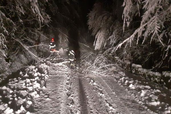 Ninsorile abundente și viscolul fac ravagii în țară: zeci de familii IZOLATE. Șoselele, BLOCATE de zăpezi și copaci căzuți