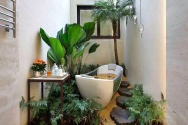 Planta pe care toți oamenii bogați o țin mereu în baie. Atrage banii ca un magnet