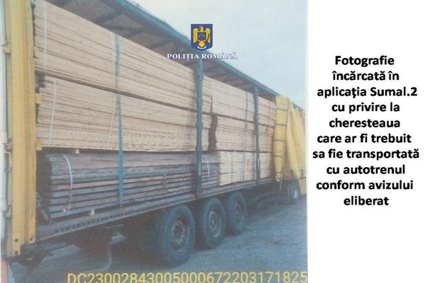 Transport fictiv de cherestea, identificat de polițiști