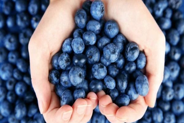 Care este cel mai hrănitor fruct de pe pământ? Are un rol uriaș pentru sănătate