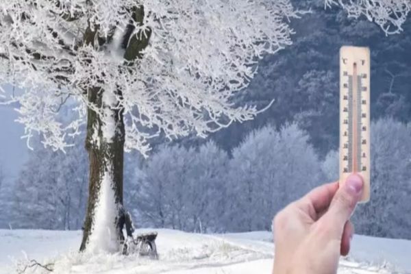 -17 grade Celsius la Timișoara - cea mai geroasă noapte din această iarnă