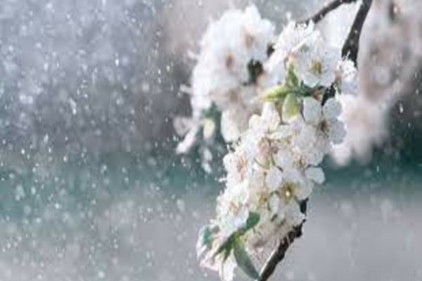 Prognoza meteo 1 mai. Temperaturi în creștere, dar și zone lovite de ploi - cum va fi vremea în ultima zi de minivacanță