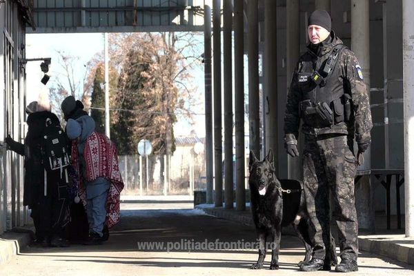 Ucrainean depistat la volan fără a avea permis de conducere corespunzător