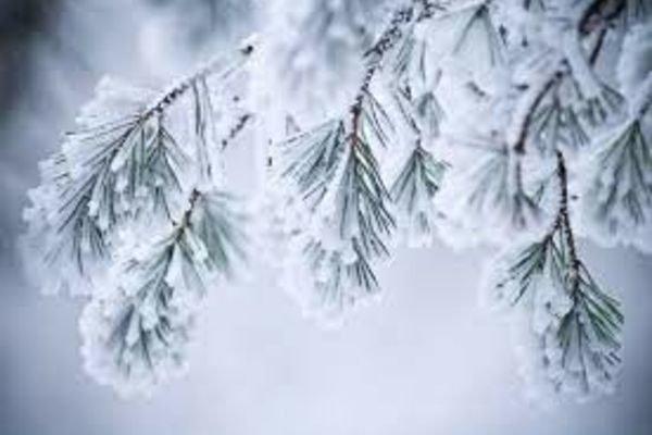 Vremea 5 decembrie - Precipitații slabe sub formă de ninsoare în unele regiuni