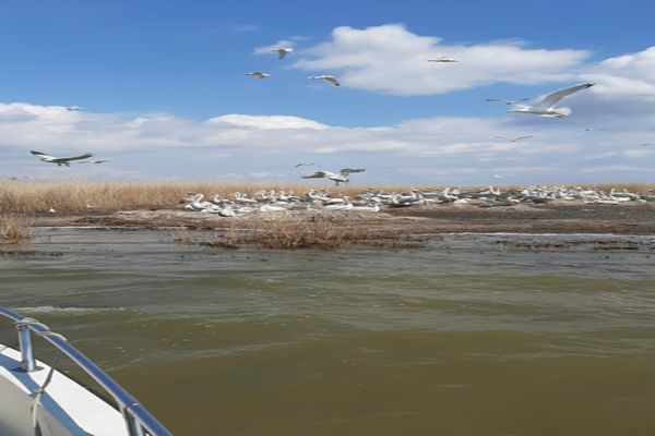 Auditul Comisiei Europene: suspiciuni de FRAUDĂ în valoare de 1,2 miliarde de euro din banii pentru Deltă