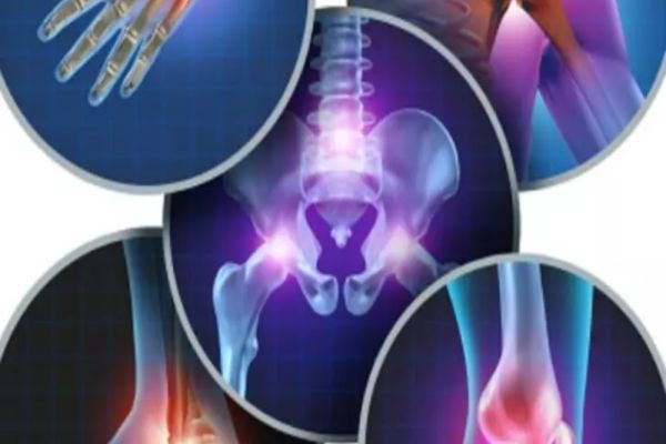 Fructul care îți menține sângele și oasele sănătoase. Cum trebuie inclus în alimentație