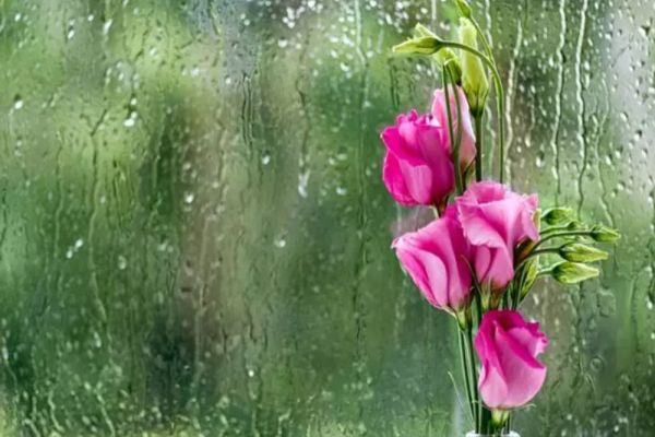 Vremea 27 mai. Temperaturi ridicate în toată România - Unde sunt furtuni și ploi torențiale