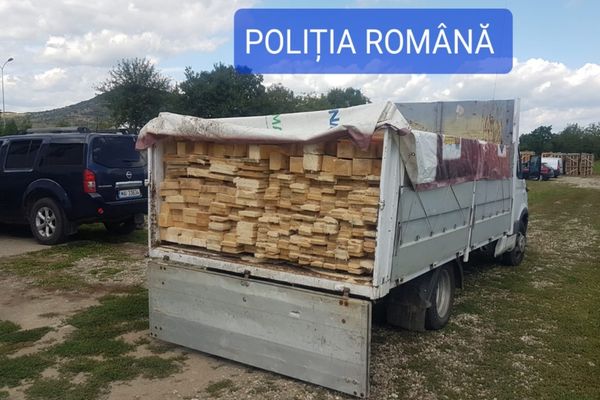 Cherestea în valoare de aproape 5.000 lei confiscată de către polițiștii din Marginea
