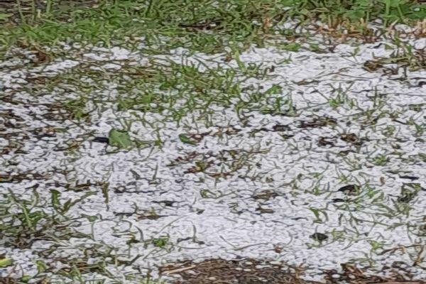 GRINDINA A FĂCUT PRĂPĂD ÎN DÂMBOVIȚA, ARGEȘ ȘI PRAHOVA. CULTURI AGRICOLE DISTRUSE ȘI COD ROȘU DE FURTUNI