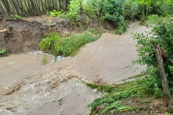 DIRECȚIA DE SĂNĂTATE PUBLICĂ SUCEAVA: MĂSURI PREVENTIVE ESENȚIALE PENTRU PROTEJAREA SĂNĂTĂȚII ÎN CAZ DE INUNDAȚII