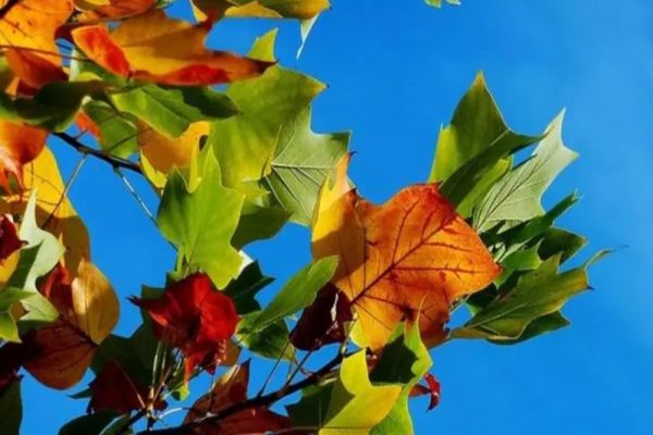 Prognoza meteo pe o lună: Septembrie cu vreme capricioasă