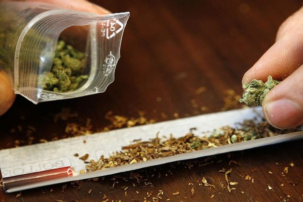 Posesia de canabis se pedepsește, indiferent de cantitate, a decis Senatul