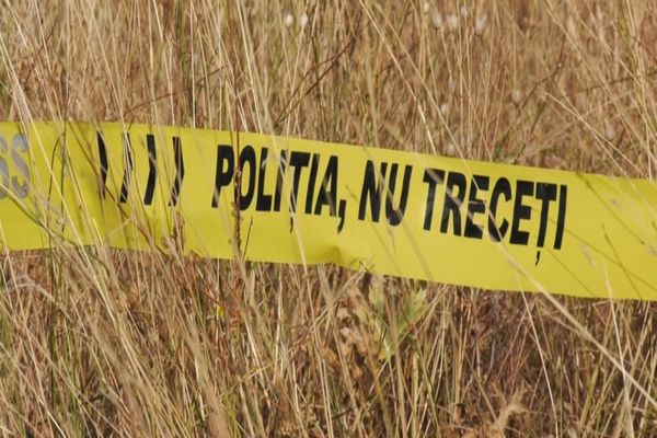 COPILUL DE 4 ANI, DISPĂRUT DIN FAȚA CASEI ȘI GĂSIT FĂRĂ VIAȚĂ, A MURIT ÎN URMA UNUI ATAC AL CÂINILOR FĂRĂ STĂPÂN