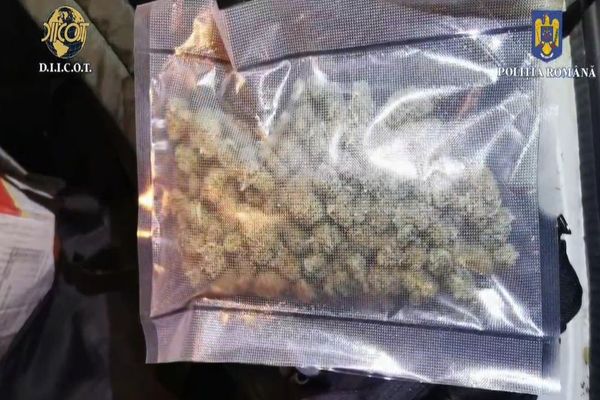 Judecătoarea din Suceava care proteja traficanții de stupefiante era CONSUMATOARE de droguri de mare risc