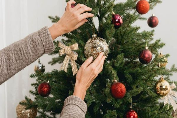 Când se împodobește bradul de Crăciun: obiceiuri, tradiții și semnificații în România și în lume