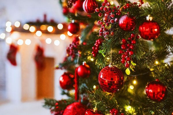 Bradul de Crăciun, între tradiție și modernitate: data împodobirii și semnificațiile ei