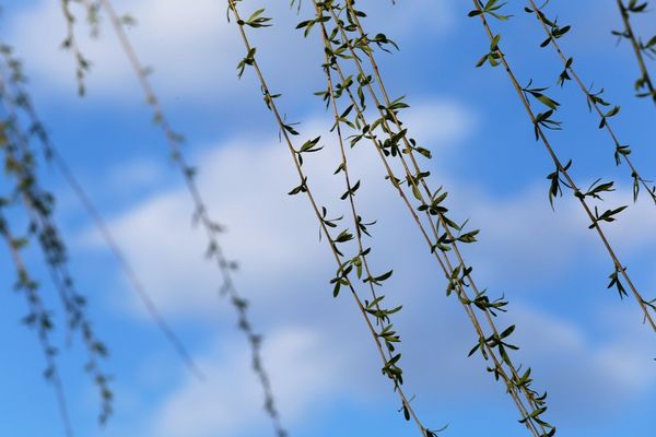 VREMEA 17 MARTIE. TEMPERATURI ÎN SCĂDERE ÎN APROAPE TOATĂ ȚARA