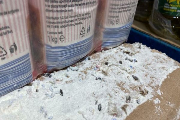 Magazin Lidl, închis temporar de ANPC după ce au fost descoperite nereguli grave! Printre ele, excremente de şoareci, dar şi capcane cu lipici