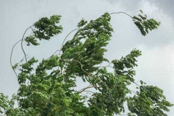 Alertă ANM de ultimă oră! Vântul spulberă tot în sudul și estul țării. Lista județelor unde vijelia va face ravagii