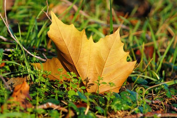 PROGNOZA METEO PENTRU DUMINICĂ, 26 OCTOMBRIE