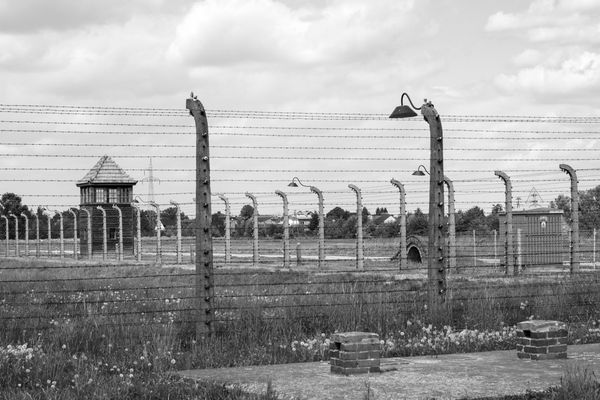27 IANUARIE - COMEMORAREA A 80 DE ANI DE LA ELIBERAREA LAGĂRULUI AUSCHWITZ