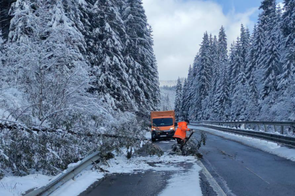 VREMEA REA A FĂCUT RAVAGII ÎN TOATĂ ȚARA