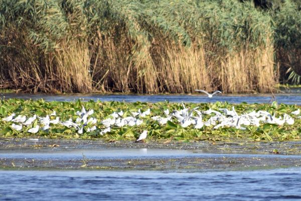 DELTA DUNĂRII CÂȘTIGĂ MARELE PREMIU AL GALEI ”DESTINAȚIA ANULUI 2025”