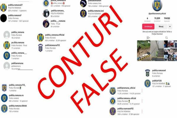 PESTE 160 DE CONTURI DE TIKTOK, ELIMINATE PENTRU CĂ FOLOSEAU ÎNSEMNE, DENUMIRI SAU ELEMENTE GRAFICE AL STRUCTURILOR MAI