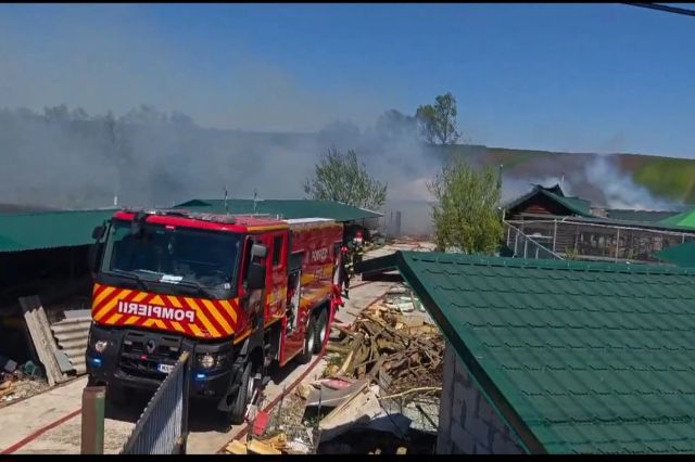 Incendiu la grădina zoologică din Zaharești