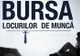 Aproape 1300 de suceveni au participat la Bursa locurilor de muncă pentru absolvenți