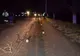 Un bărbat de 69 de ani a fost accidentat mortal în timp ce se deplasa pe marginea drumului