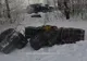 Țigări în valoare de peste 160.000 lei, abandonate de contrabandiști FOTO