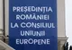 USR Suceava cere îndepărtarea unui mesh ilegal de pe Palatul Administrativ