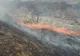 42 de incendii de vegetație uscată în doar șapte zile VIDEO