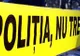 Un bărbat a căzut de pe scară și a murit, în timp ce culegea pere