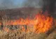 Cinci incendii de vegetație uscată produse în ultimele 24 de ore